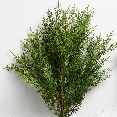 Cedar Greenery Pick, 19 in.