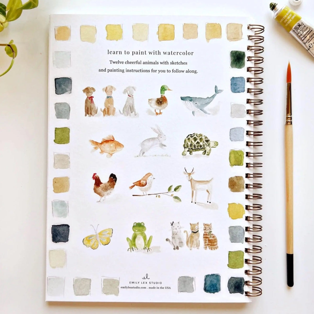 Watercolor Workbook, Animals