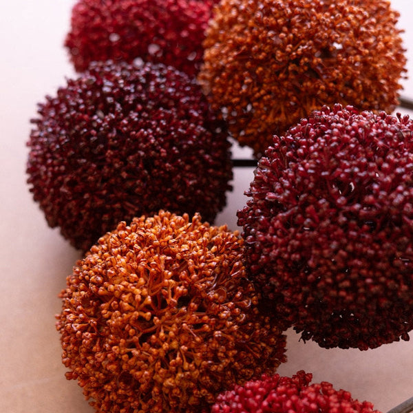 Allium Ball Stem 24" Assorted Colors