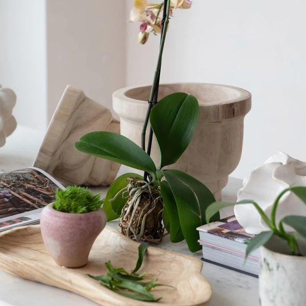 Decorative Paulownia Wood Tray, 17"x 9"