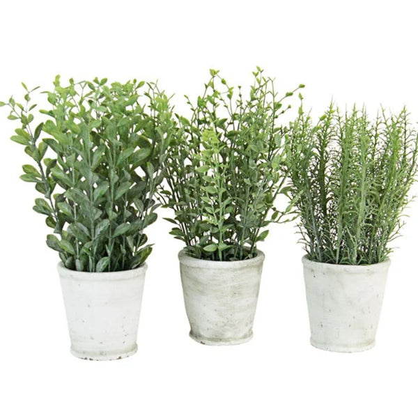 Artificial Herbs in Cement Pots, Assorted Styles, Priced Individually