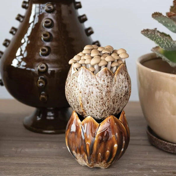 Flower Shaped Planter, 5"Rnd