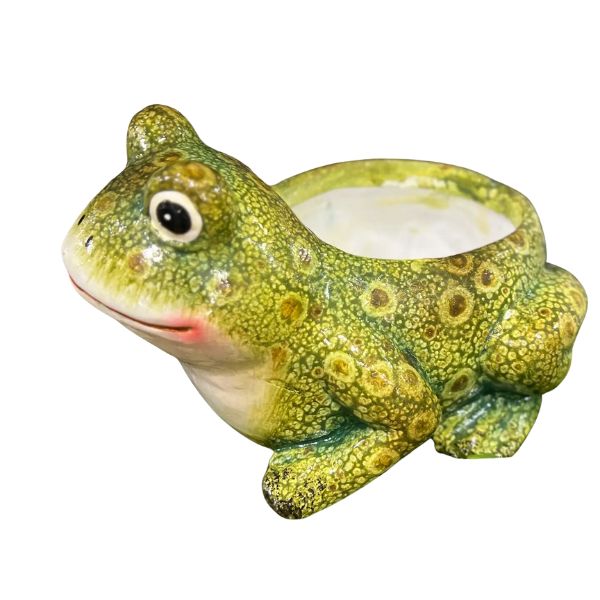 Hazel Frog Planter, 6.8 X 5.3 X 4 in. featuring a detailed green frog design, perfect for adding whimsical decor or unique gifts from Knotty and Board, every room needs a little Knotty and Board.