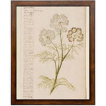 Vintage Flower A Artwork, 16 X 24 in. 1