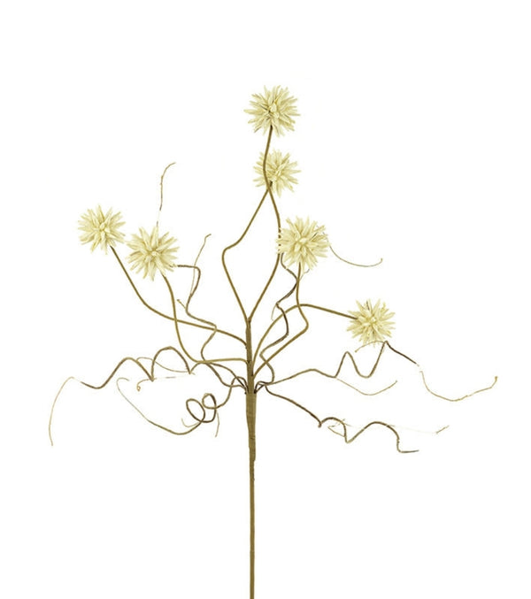 Botanica #2443 featuring an artistic arrangement of delicate cream-colored flowers on thin, twisting stems, perfect for adding unique decor accents from Knotty and Board.