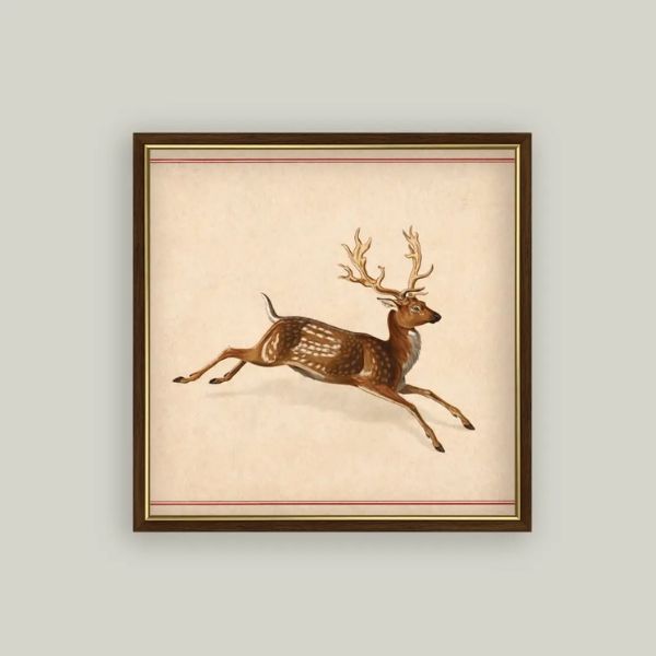 Spotted Deer Wall Art, 15 X 15 in.