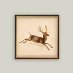 Spotted Deer Wall Art, 15 X 15 in. 2