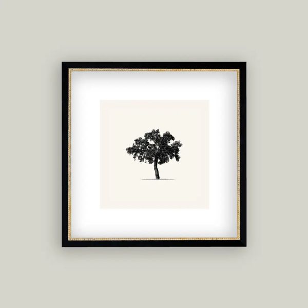 Tree Framed Antique Art, 15 X 15 in.