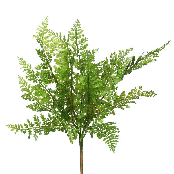 Fern Stem, 18 in. Green with delicate, detailed leaves perfect for adding natural greenery to your home decor, available from Knotty and Board, Every Room Needs A Little Knotty and Board.
