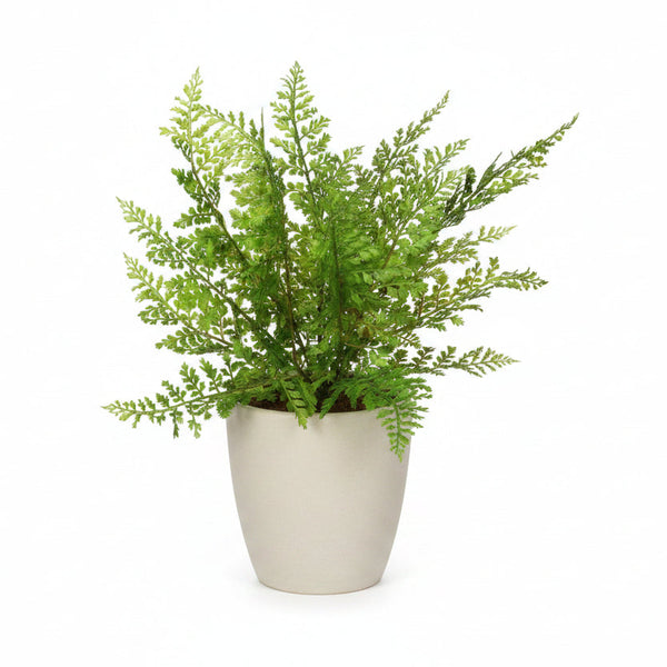 Fern Stem, 18 in.  Green