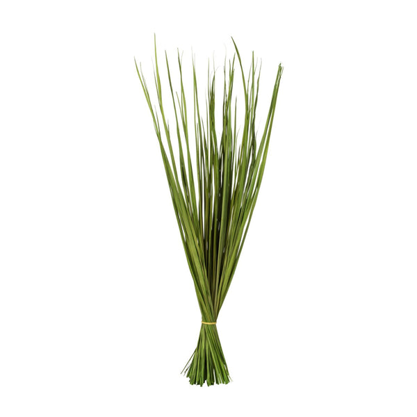 Basil Wild Flax Grass, 28-32 in. bundle of natural green decorative grass ideal for adding a fresh touch to kitchen or dining decor, available from Knotty and Board.