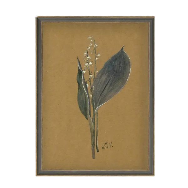 Lily On Brown Framed Antique Art, 11 X 15 in.
