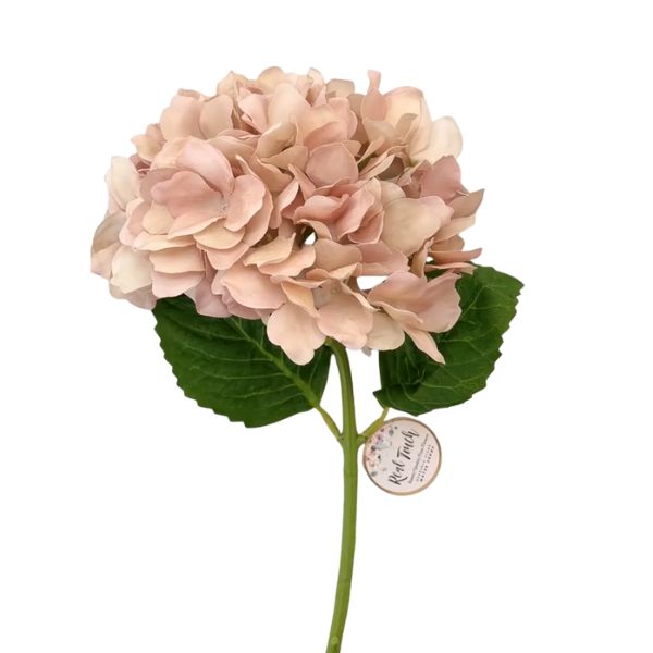 Hydrangea Bloom, 19 in., Rustic Mauve Blush artificial flower with soft dusty pink petals and green leaves, perfect for rustic home decor and gifts from Knotty and Board.